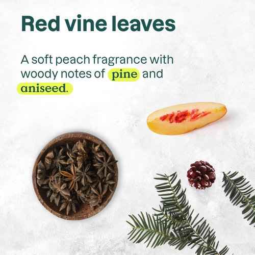 Bundle of 5 ATTITUDE Foaming Hand Soap, EWG Verified, Dermatologically Tested, Plant and Mineral-Based, Vegan, 10 Fl Oz, Lemon Leaves, Olive Leaves, Red Vine Leaves, White Tea Leaves and Orange Leaves