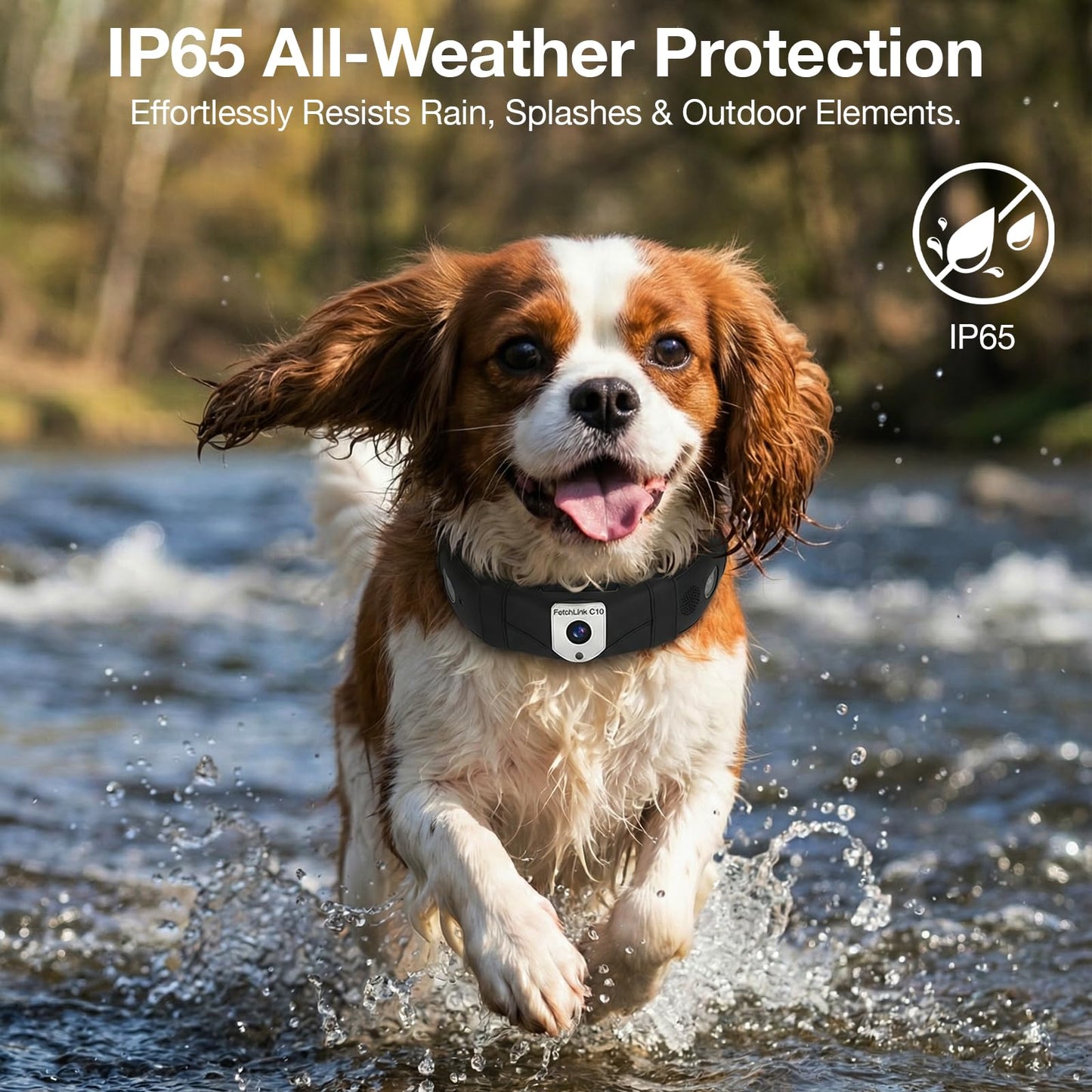 Wireless Dog Fence & GPS Dog Collar with Unlimited Virtual Fences, App-Controlled 2K Camera & Two-Way Audio, Outdoor Safe Containment & Waterproof, for Medium & Large Dogs