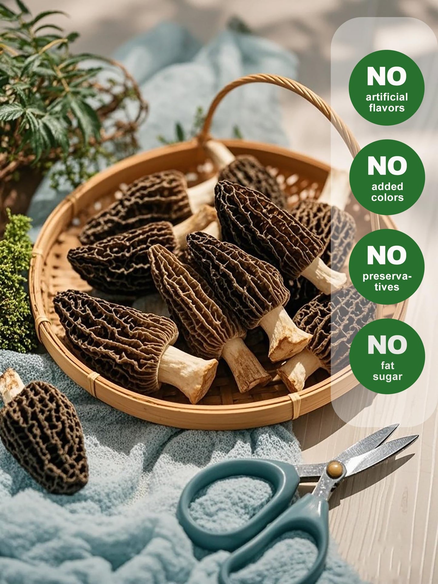 MillynLike Dried Morel Mushrooms Trimmed Stems & Large Caps (2+ Inches) | 2oz Gourmet Morchella Conica, Premium AAA Grade100% Natural without additives for cooking