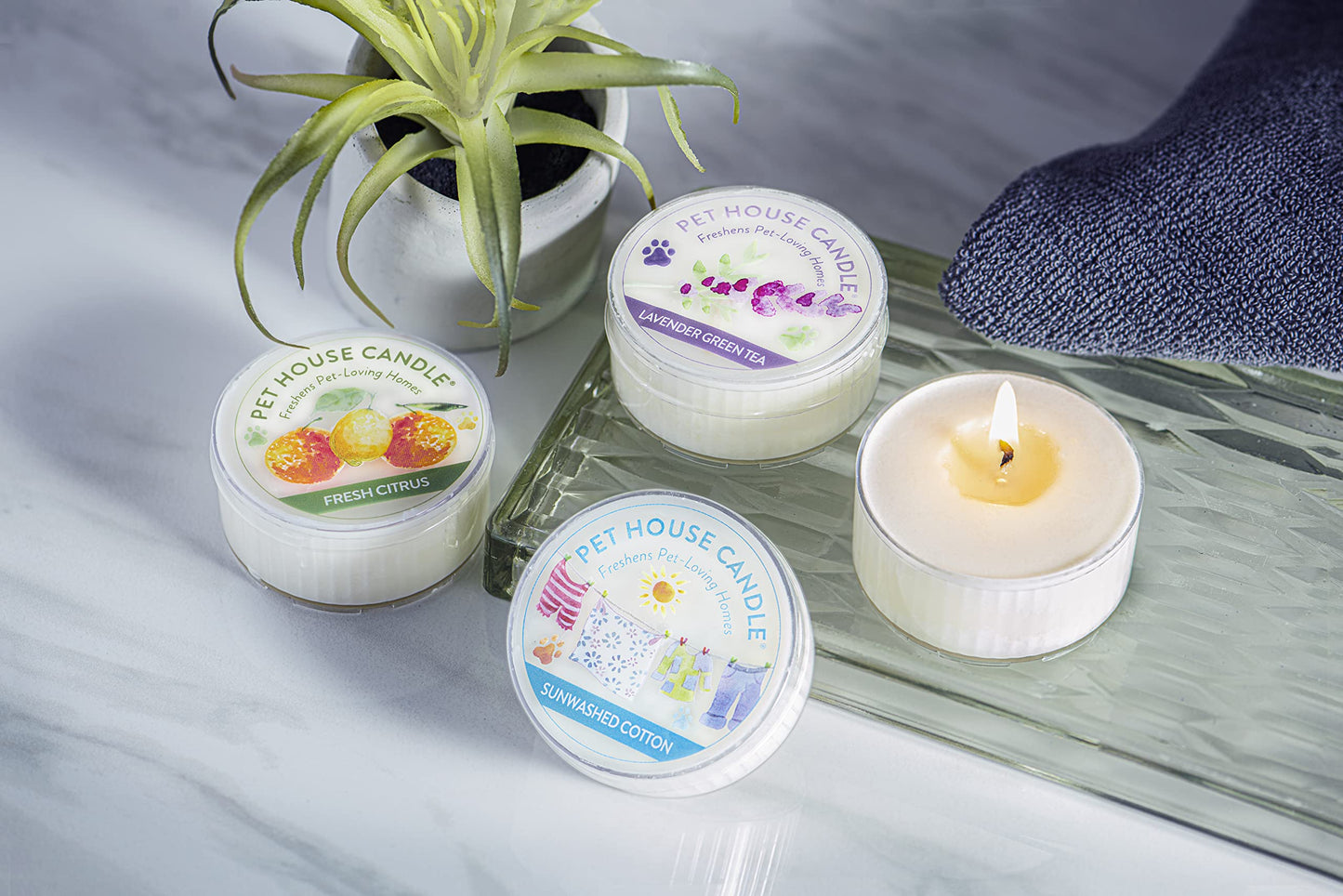 Pet House Mini Candles for Pet Odor, Plant Based, Dog and Cat Friendly Scented Candles, Lavender Green Tea Pack of 3