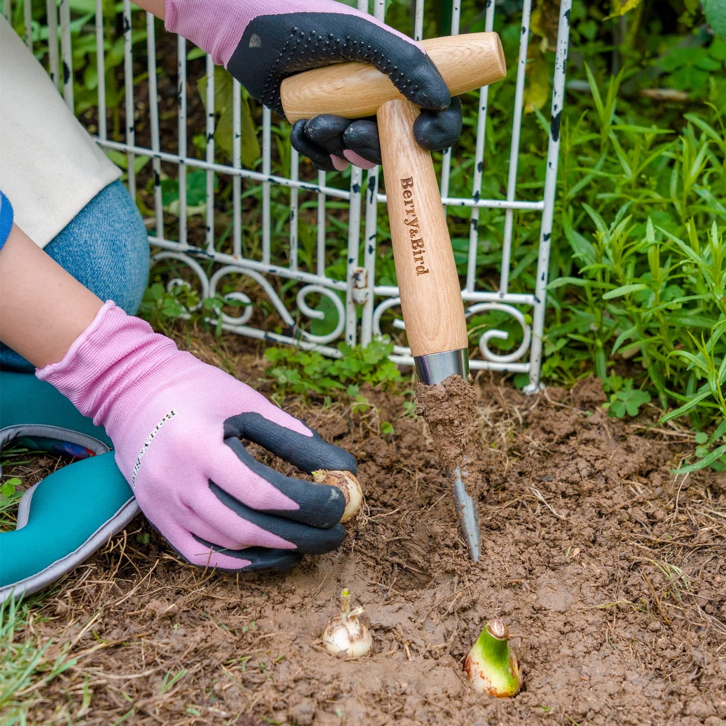 Berry&Bird Hand Dibber, Stainless Steel Sow Dibbler with Wood Handle, Garden Hole Punch Dibbler Tool for Planting Seeds & Bulbs, Hand Held Bulb Planter for Planting Flowers Tulips, Daffodils, Dahlias