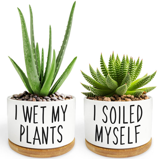 2 Pack I Wet My Plants - Funny Ceramic Planter Pot with Drainage, Cactus Pot, Cute Succulent Pots,Aloe Vera Plant Pot,Funny Plant Gifts for Women, Friends, Coworker