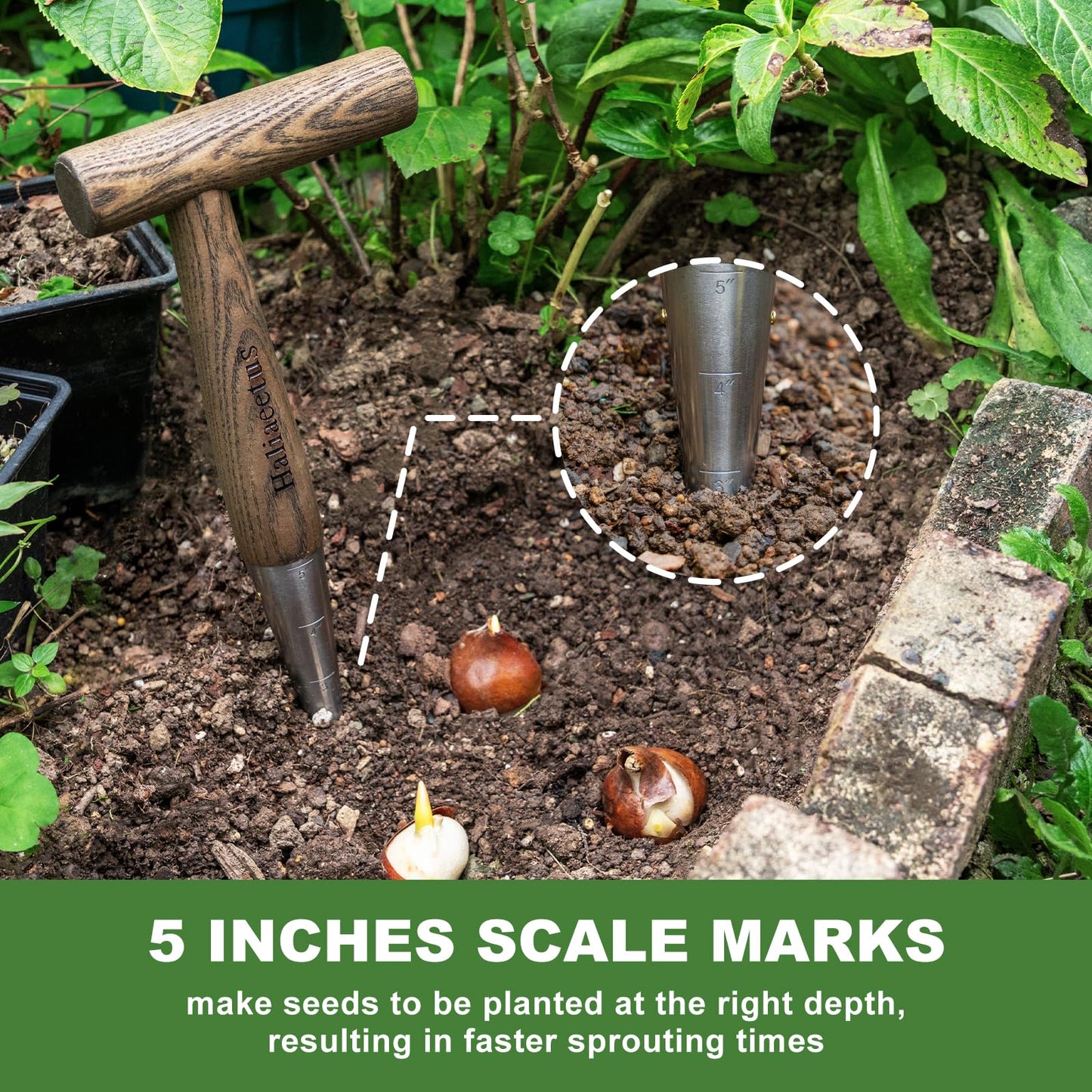 Haliaeetus Dibbler Gardening Tool with 5'' Measuring Scale, Easy to Grip L-Shaped Wood Handle Dibbler, Stamped Stainless Steel Tip Seed Dibber, 11.3'' Dibber for Sowing Seeds and Planting Seedlings