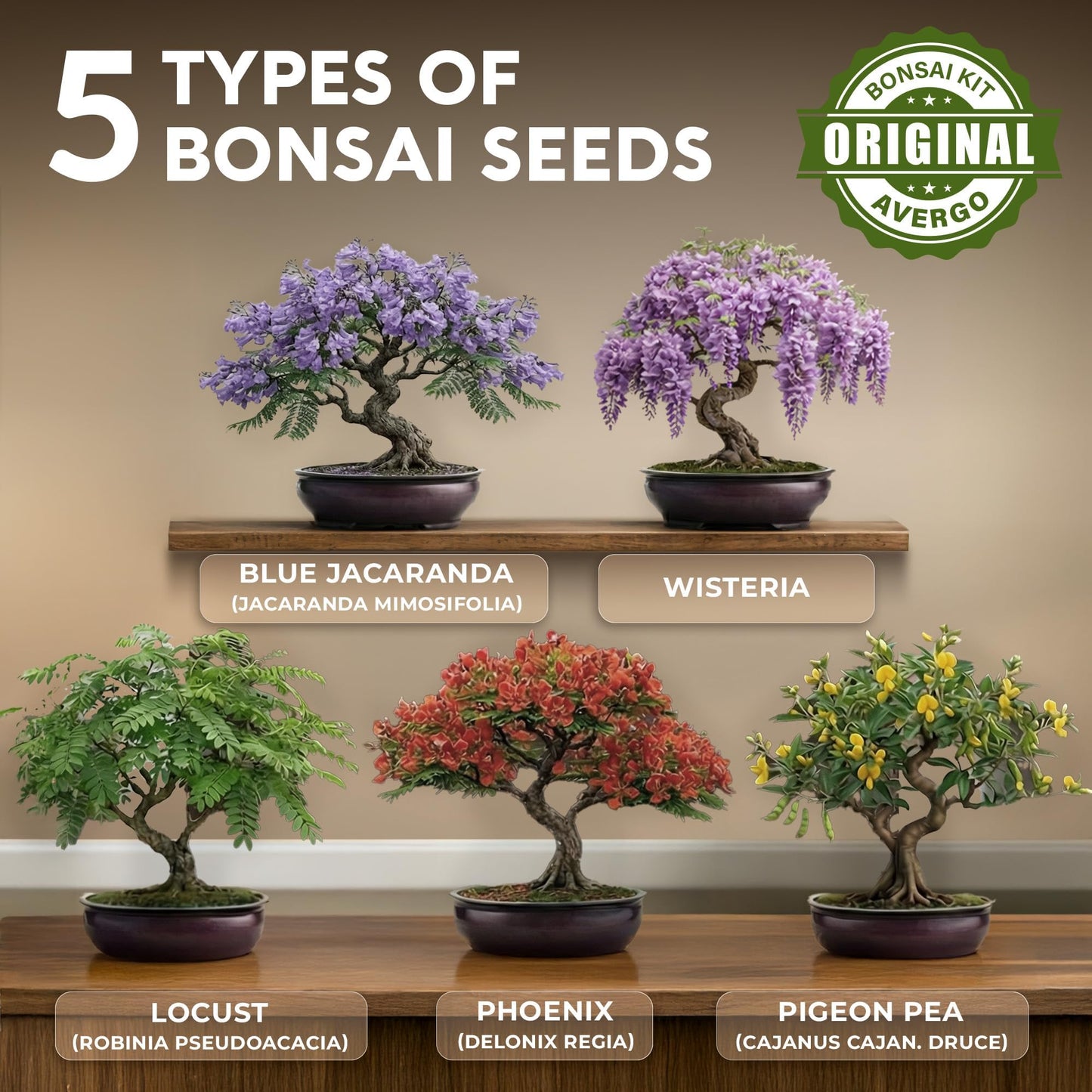 AVERGO Bonsai Tree Kit Deluxe - 5X Unique Japanese Bonzai Trees | Complete Indoor Bonsai Starter Kits from Seeds to Trees – DIY Gardening Gifts for Mother, Women & Men