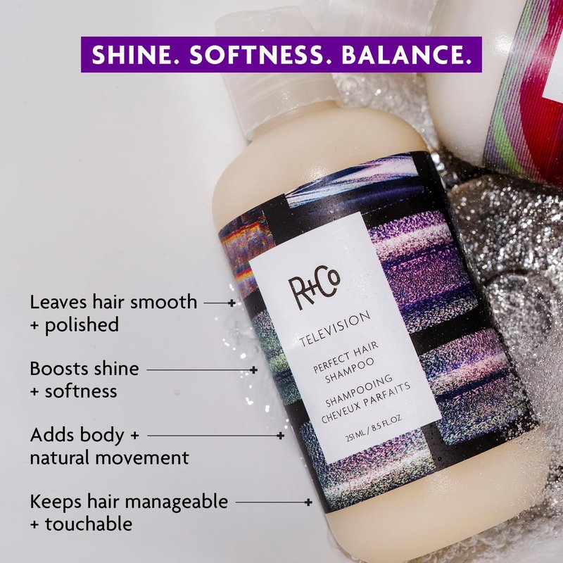 R+Co Television Perfect Hair Shampoo | Body + Shine + Smoothing for All Hair Types | Vegan + Cruelty-Free | 2.0 Oz