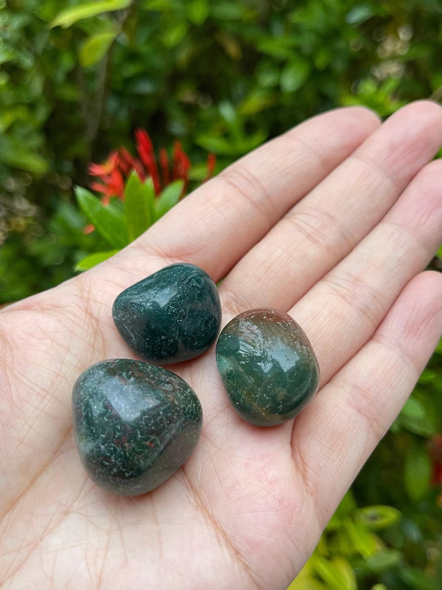 GAF TREASURES 5 Pcs Bloodstone Tumbled Stones, Polished Natural Bloodstone Gemstone, Bloodstone Healing Crystals (Bloodstone)
