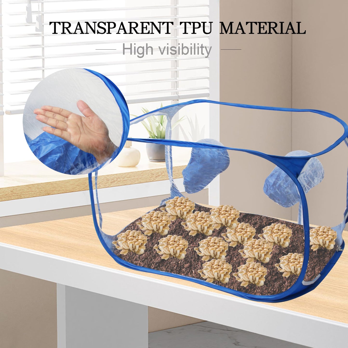 Toboom Portable Still Air Box Mycology with Pop Up Mushroom Growing Kit - Ideal for Mushroom Cultivation in Office and Mycology Enthusiasts (Blue)