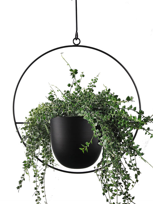 ABETREE Hanging Planter for Indoor Outdoor Plants Metal Mid Century Minimalist Wall Ceiling Plant Hanger, Hanging Flower Pot Basket Holder for Home Office Décor(Black)