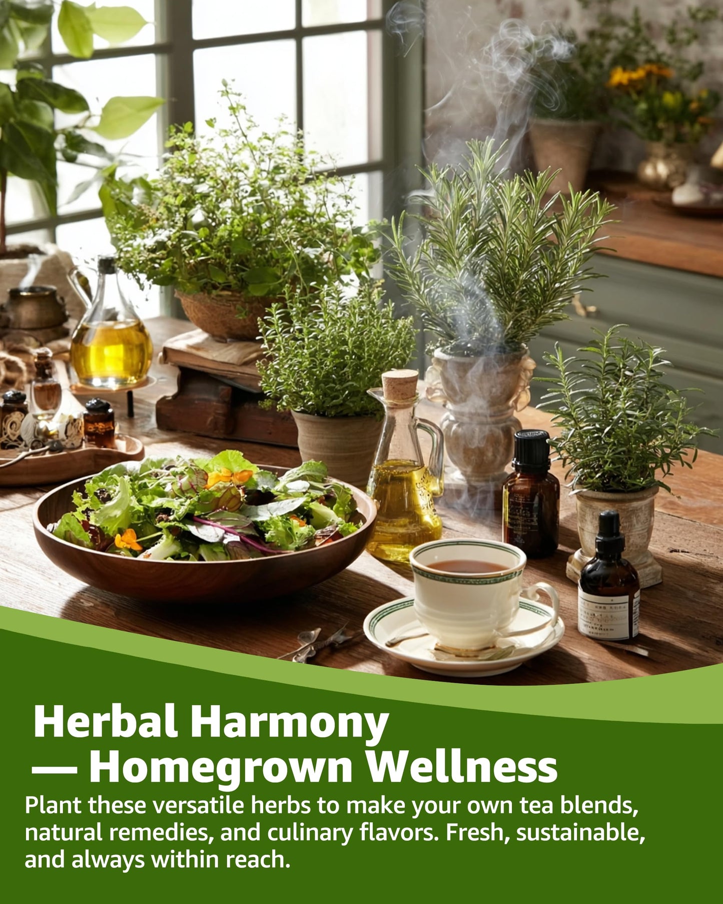 Medicinal & Tea Herb Seeds for Planting - 35 Non-GMO Variety Pack for Indoor/Outdoor Garden: Anise, Bergamot, Borage, Fennel, Chamomile, Dandelion, Oregano, Hyssop, Catnip Seeds & More