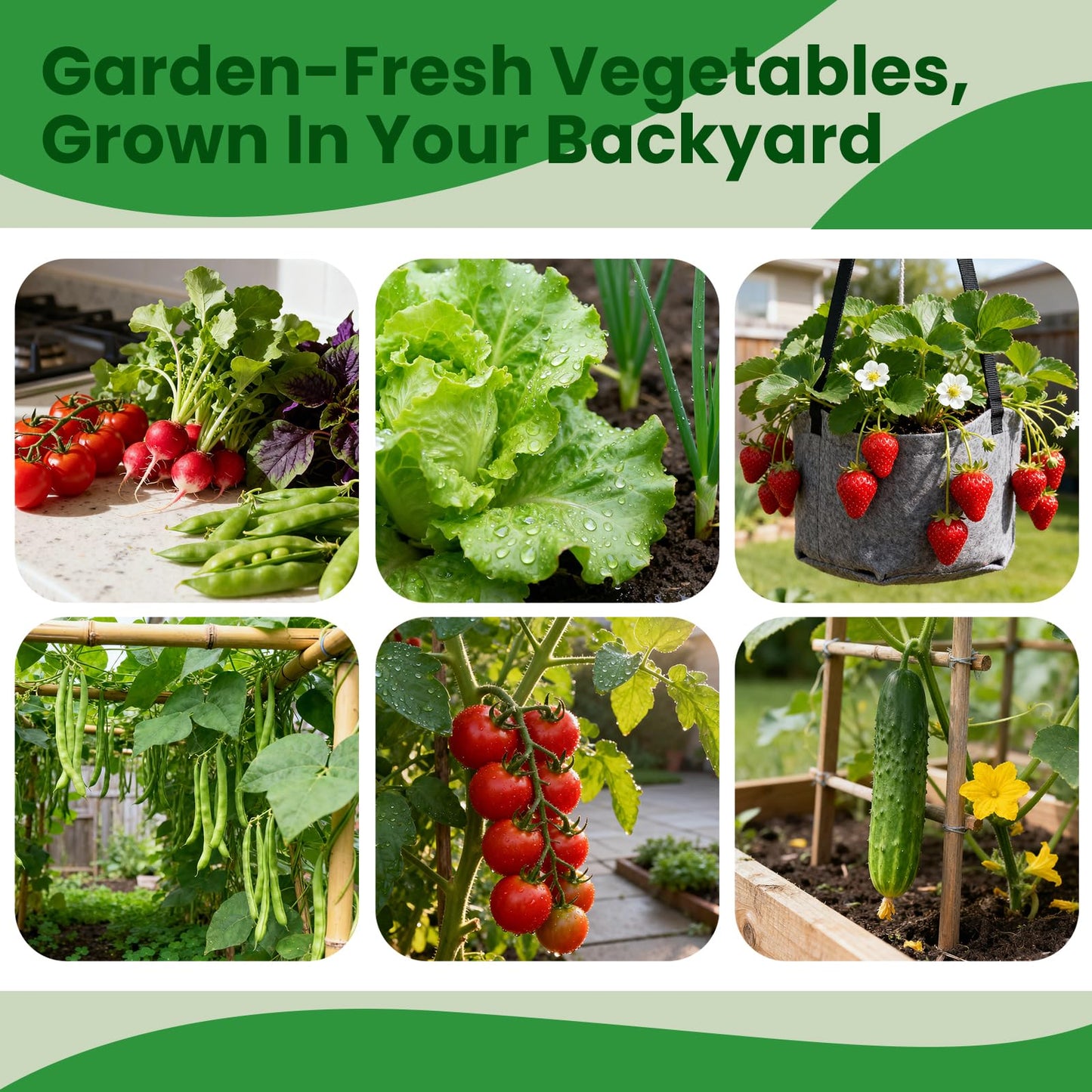 Fruivity 45 Vegetable Seeds Variety Pack - 17,000+ Garden Seeds for Planting Indoor & Outdoor - Seed Vault Kit with Tomato, Cabbage, Spinach - for Hydroponic, Women, Friend Gift