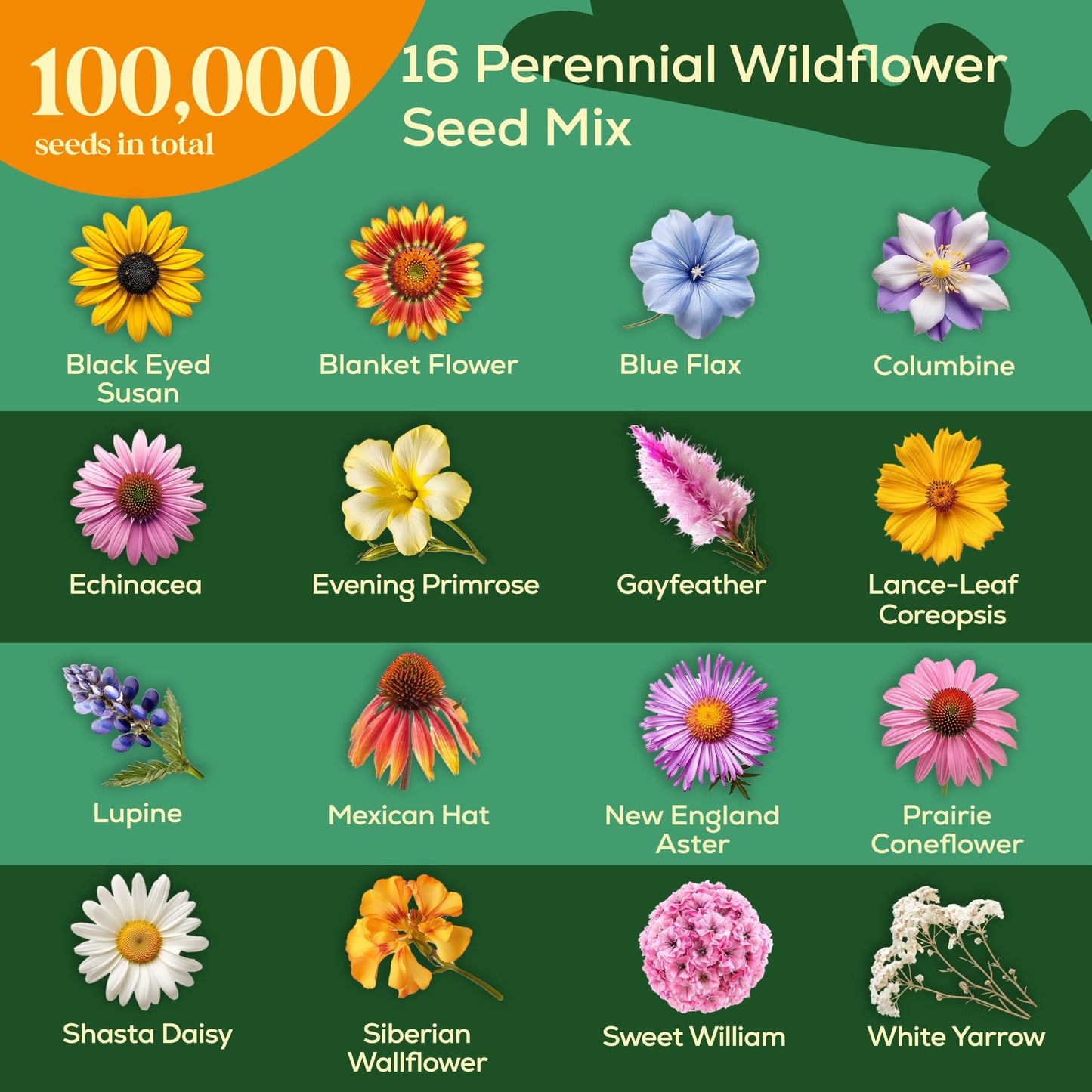Seedphony 16 Perennial Wildflower Mix 4 oz - 100,000 Non-GMO Heirloom Wildflower Seeds for Planting Garden, Wild Flowers in Waterproof Seed Packet, Floral Seeds for Planting Indoor & Outdoor Gardening