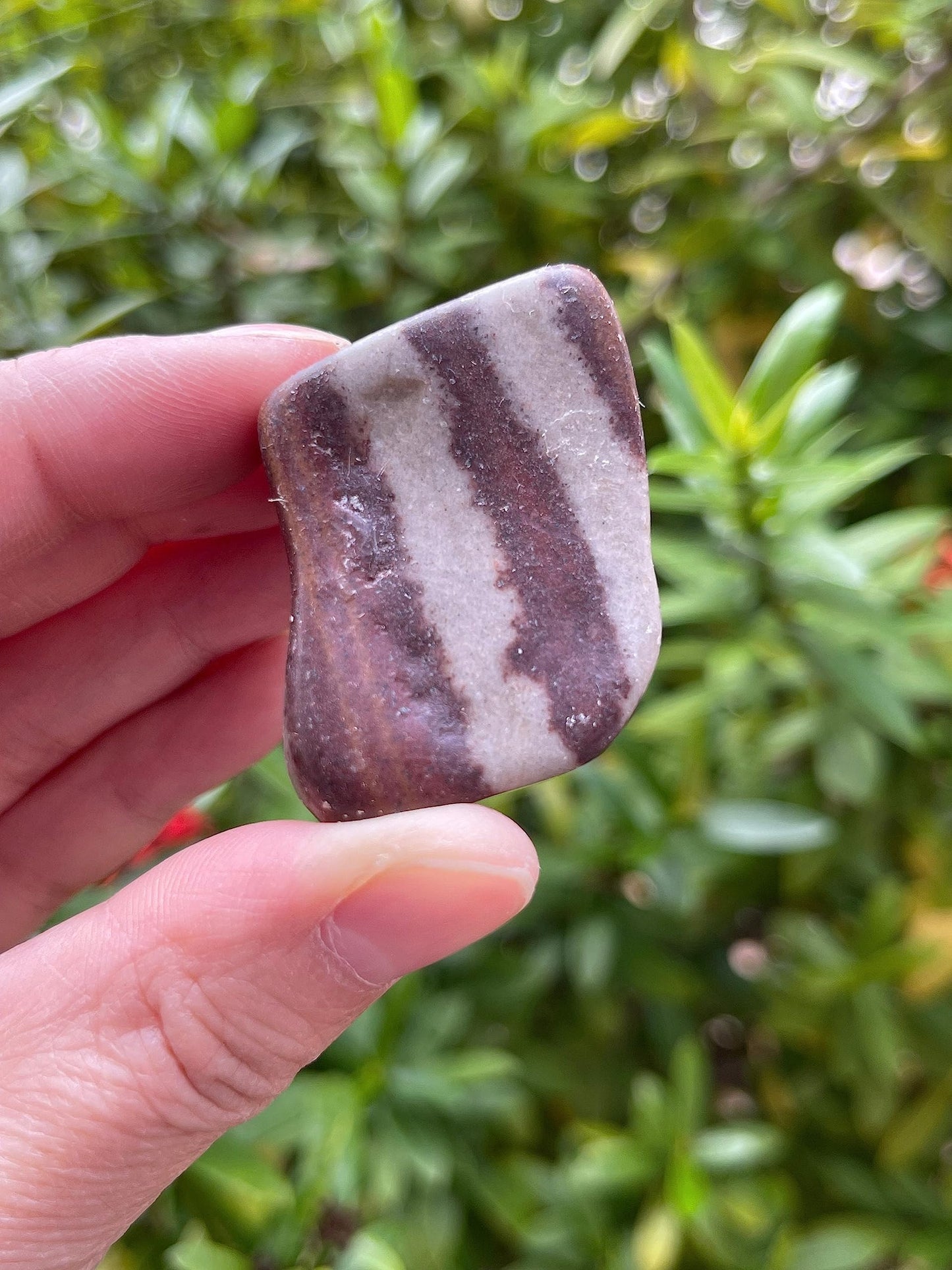GAF TREASURES 5 Pcs Shiva Lingam Tumbled Stones, Polished Shiva Lingam Gemstone, Shiva Lingam Healing Crystals (Shiva Lingam)