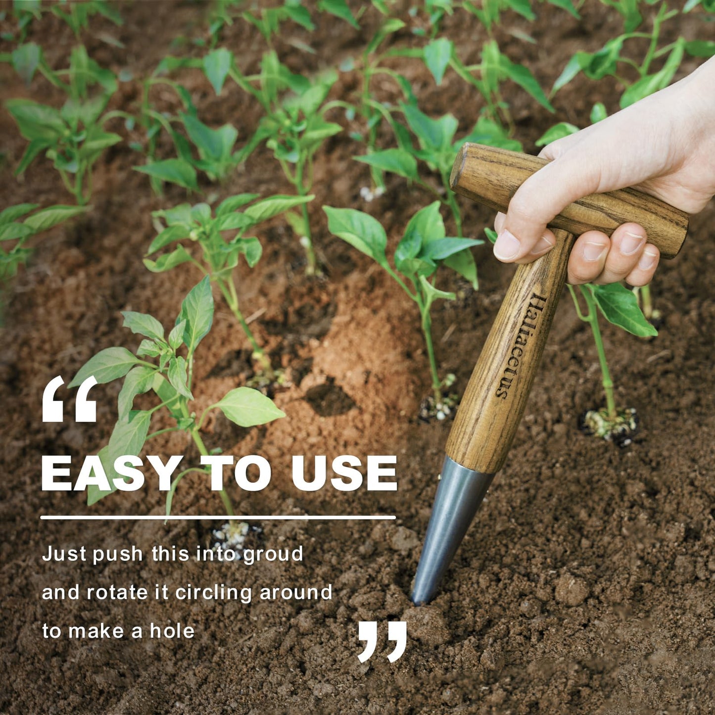 Haliaeetus Dibber Garden Tool, Stamped Stainless Steel Tip Seed Dibber, Smooth Splinter-Free T-Shape Wood Handle Dibbler with Comfortable Grip, 11'' Dibber for Planting Seed and Transplanting Seedling