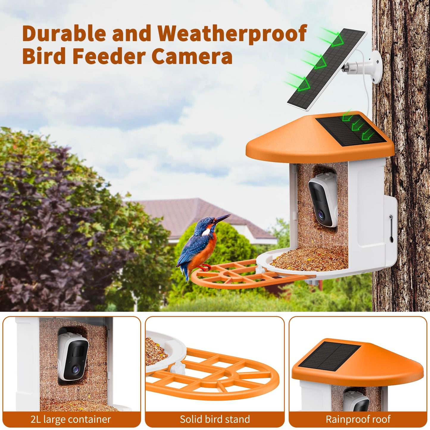 HARYMOR Bird Feeder with Camera with AI Identify Birds Species Solar Panel, Live View, Instant Arrival Alerts