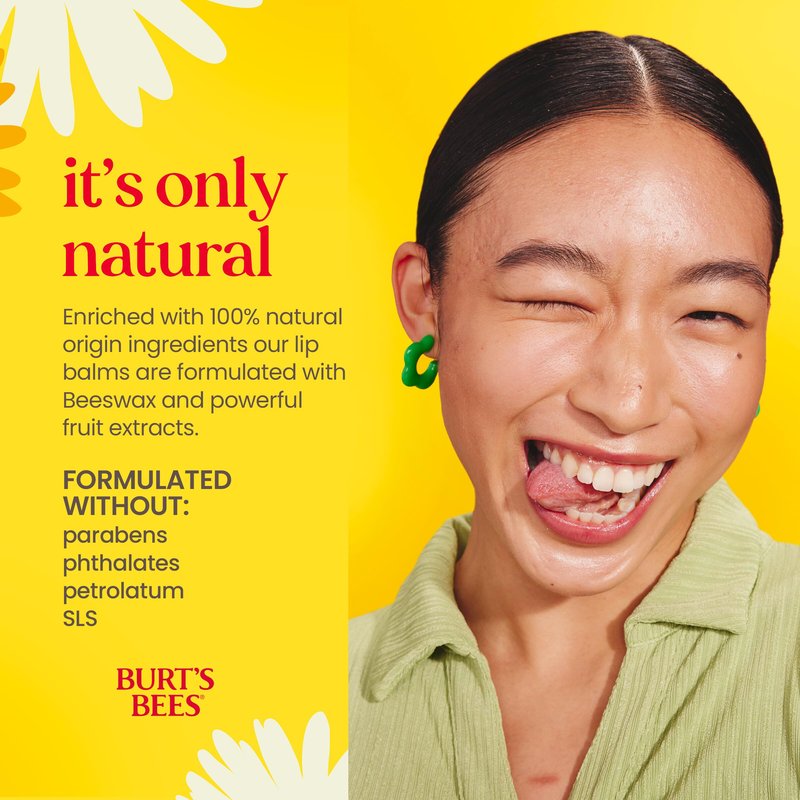 Burt's Bees Beeswax Lip Balm