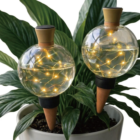 19 oz Extra Large Plant Self Watering Globes Top Fill, LED Night Light Classic Globe Plastic Water Bulbs, Automatic Plant Waterer for Indoor Outdoor Houseplants, Slow Release Planter Insert, 2 Pack