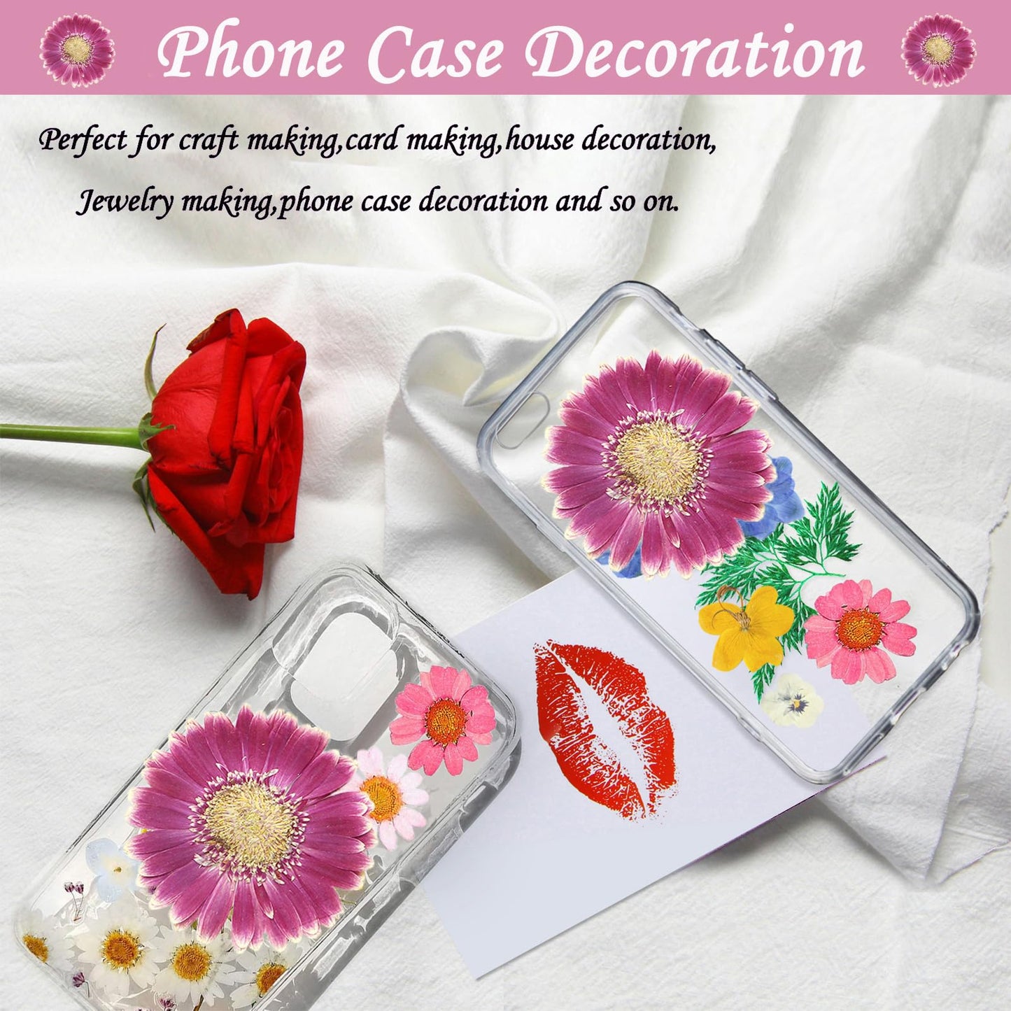 ALJ Rose Red Dried Pressed African Daisy for Resin Crafts Embellishment, Large Size Natural Sunflowers, Barberton Daisy for DIY Jewellery Candle Making Phone Case Home Wedding Decor (3.14-3.54IN)