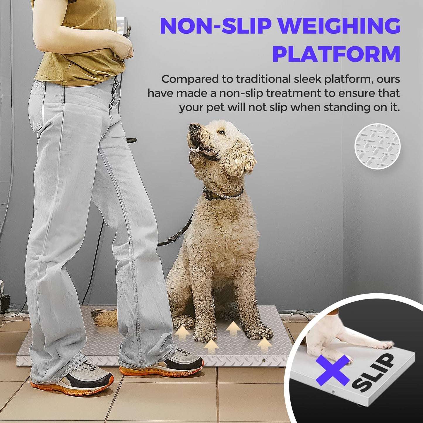 Bonvoisin Dog Scale for Large Breed Animal Livestock Weight Scale with Large Stainless Steel Platform, 1100lb X 0.2lb Postal Shipping Scale Pet Scale for Dog, Cattle, Sheep