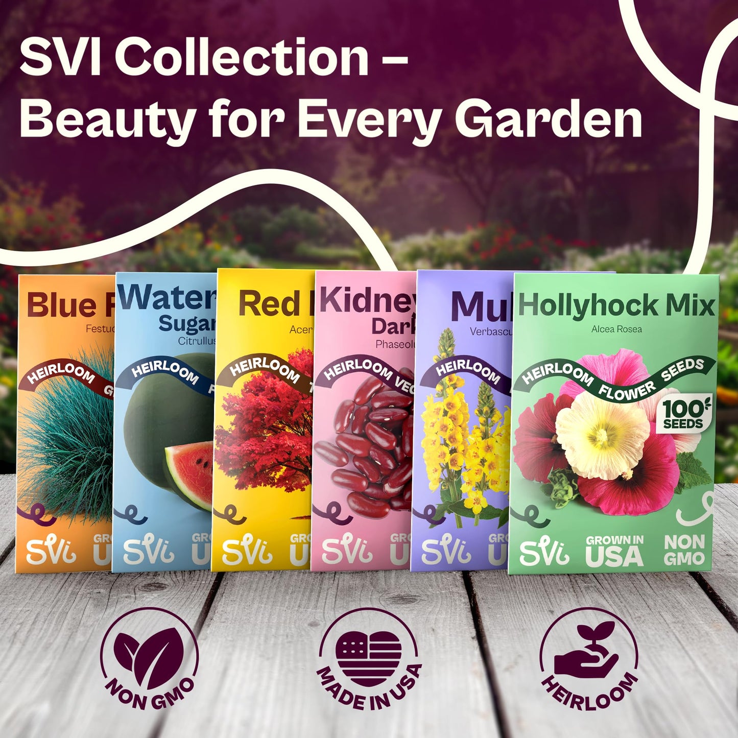 SVI 50 Dark Red Kidney Beans Seeds (Phaseolus vulgaris L.) – Rajma, Surkh Lobia, Heat-Tolerant, Protein-Rich – Heirloom Vegetable Seeds for Outdoor Garden & Raised Beds