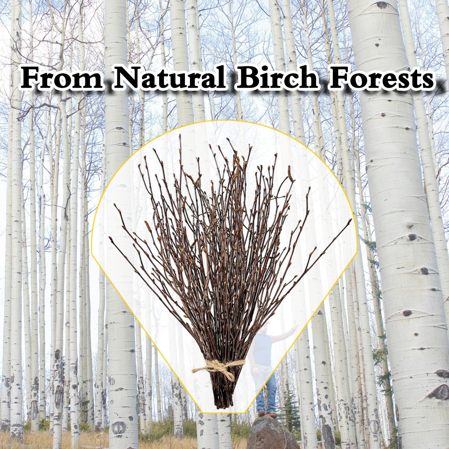 17 Inch Natural Birch Branches Dried Birch Twigs Wreath Making Supplies Dried Plants for Rustic Home Decor Easter Stems Vase Filler DIY Crafts Vases Tall Wreath Christmas Decoration Wedding (50Pcs)