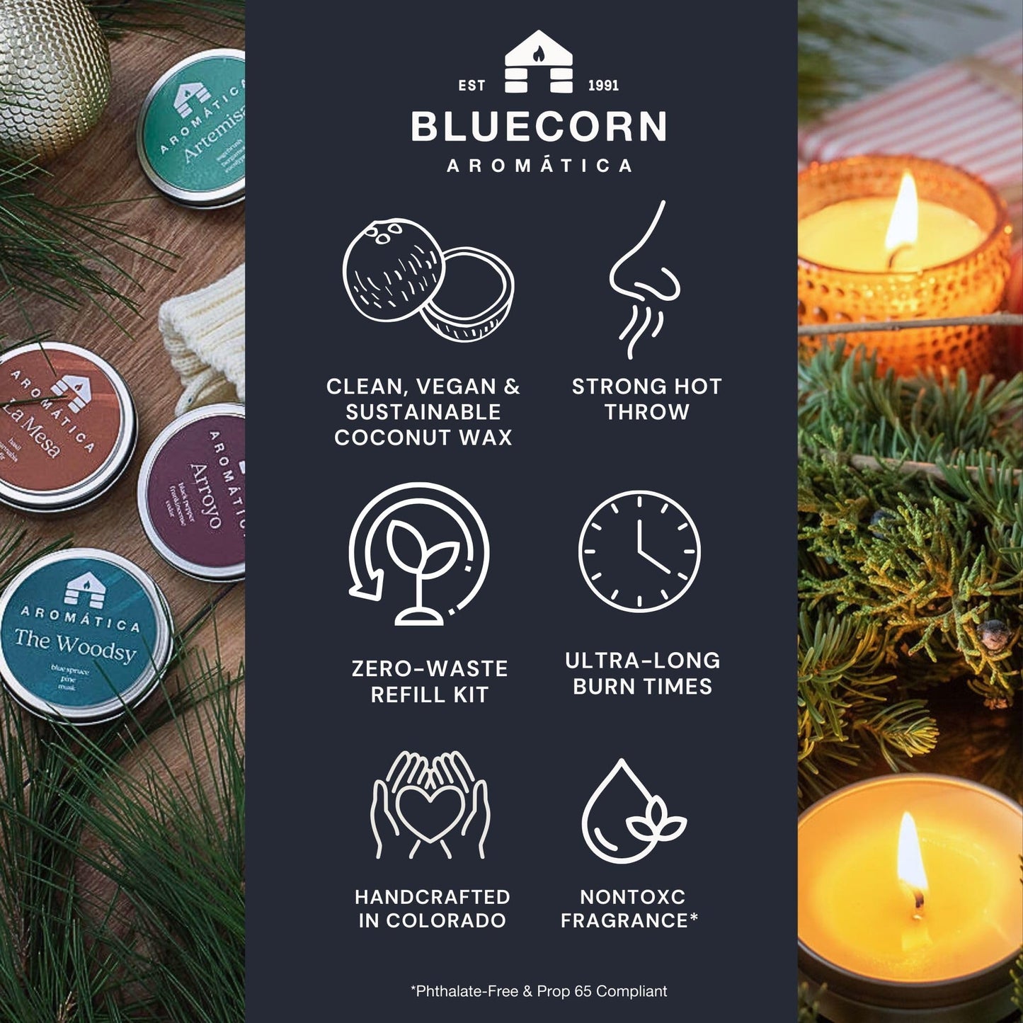 Bluecorn Aromática Nontoxic Scented Candle Tin, Amber, Frankincense & Cedar, Vegan Coconut Wax, Clean Burning & Long Lasting Candle, Cozy Home Decor, Gifts, Made in USA, 8 Oz