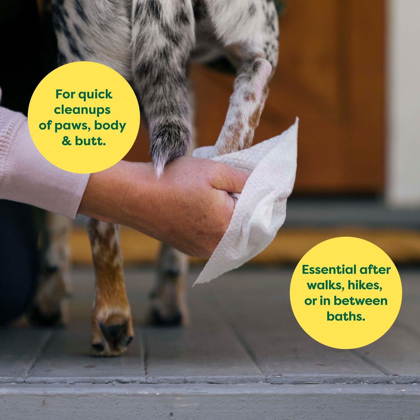 Earth Rated Ear Wipes & Grooming Wipes Bundle - Includes 70 Fragrance-Free Pet Ear Wipes and 100 Lavender-Scented Grooming Wipes.