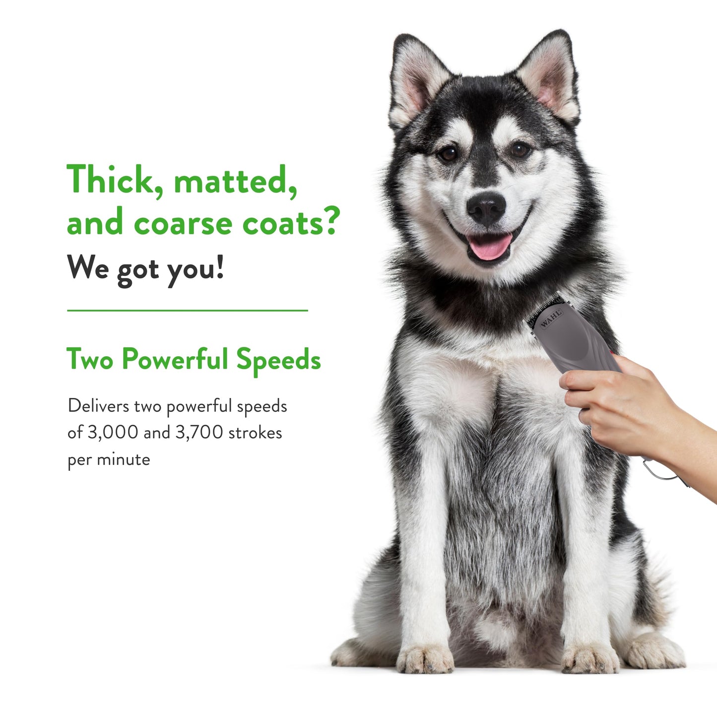 Wahl Pro Animal KM10+ Corded Clipper - New #10 Prime Series Blade, LOCKGUARD Patent Pending Technology & Textured Housing Design - Clippers for Cats, Dogs & Horses - Lightweight - 2-Speeds - Purple
