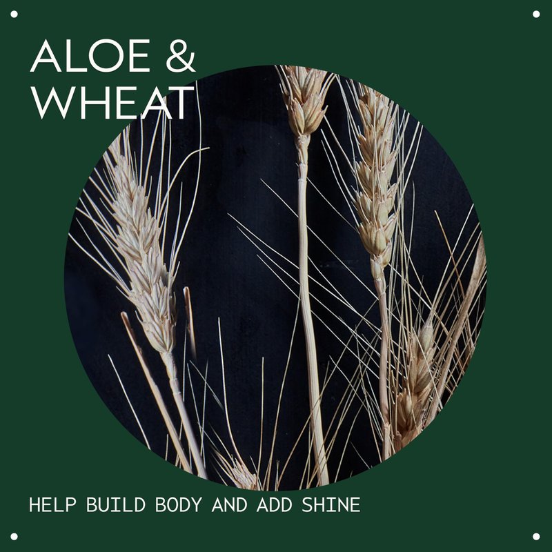Aveda Volumizing Hair Tonic | Volume Spray for Fine and Medium Hair Types | Build Body + Shine | With Wheat Amino Acids and Certified Organic Aloe | 92% Naturally Derived*, 1.3 Fl Oz