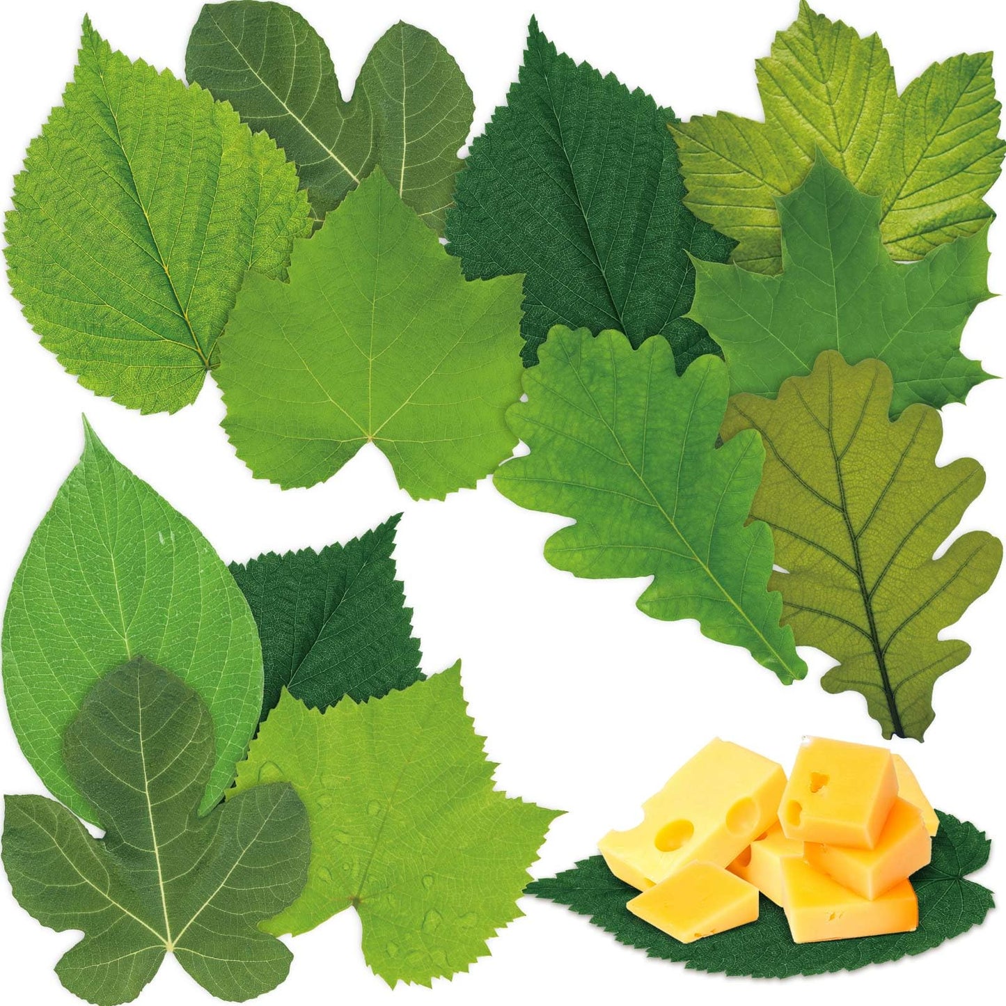Tenceur 150 Pcs Parchment Paper Leaves 7.2 in Spring Cheese Papers Leaves Charcuterie Boards Spring Summer Parchments Sheet Decorative for Plate Table Festival Party Food Serving, 10 Styles