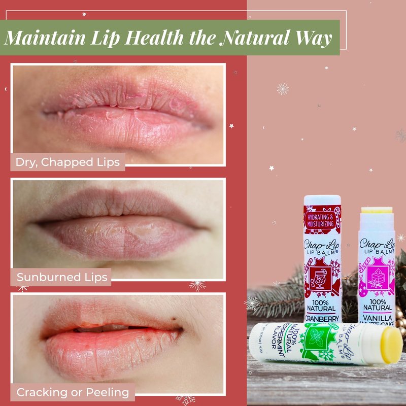 Chap-Lip Lip Balm 100% Natural Lip Balm Set - Beeswax Natural Christmas Gifts for Her - Lip Moisturizer for Dry Lips, Cocoa Butter - Petroleum Free, 24 Count, 2 Pack