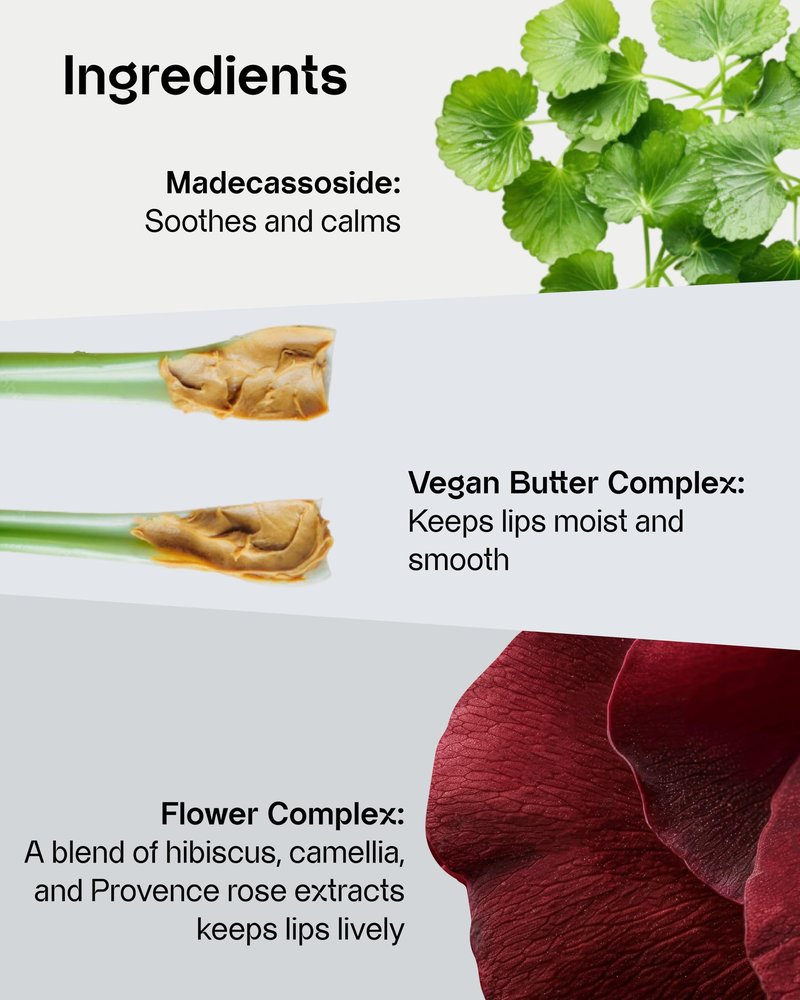 FRESHIAN Sensual Vegan Lipstick Blur (08 Sensitive, 0.12oz) - Long-Lasting Formula, Lightweight Matte Lipstick, Korean Makeup. Shea Cocoa Butter, Vegan.