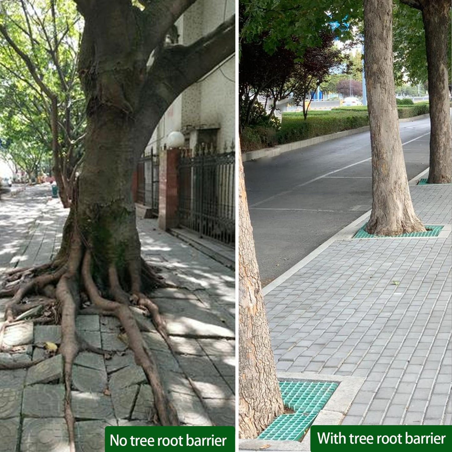 75ft x 24in x 60mil-Tree Root Barrier Bamboo Barrier Rhizome Control Barrier for Landscaping and Protection Roads