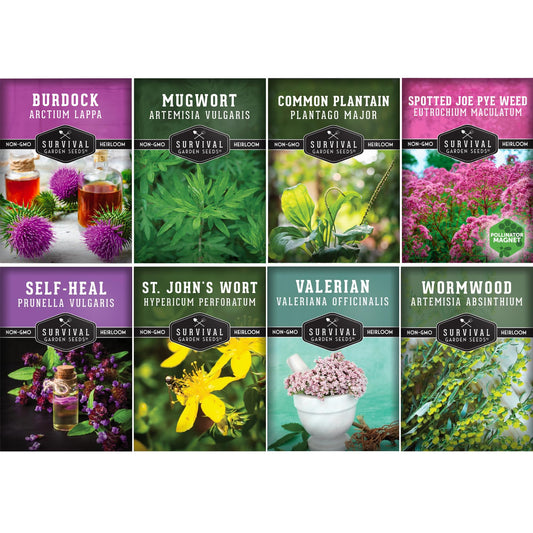 Advanced Medicinal Herb Seeds Collection - Variety Pack for Planting with Plantain, Joe-Pye Weed, St John’s Wort, Valerian, Mugwort - Heirloom Apothecary Herbalist Seed Bundle - Survival Garden Seeds