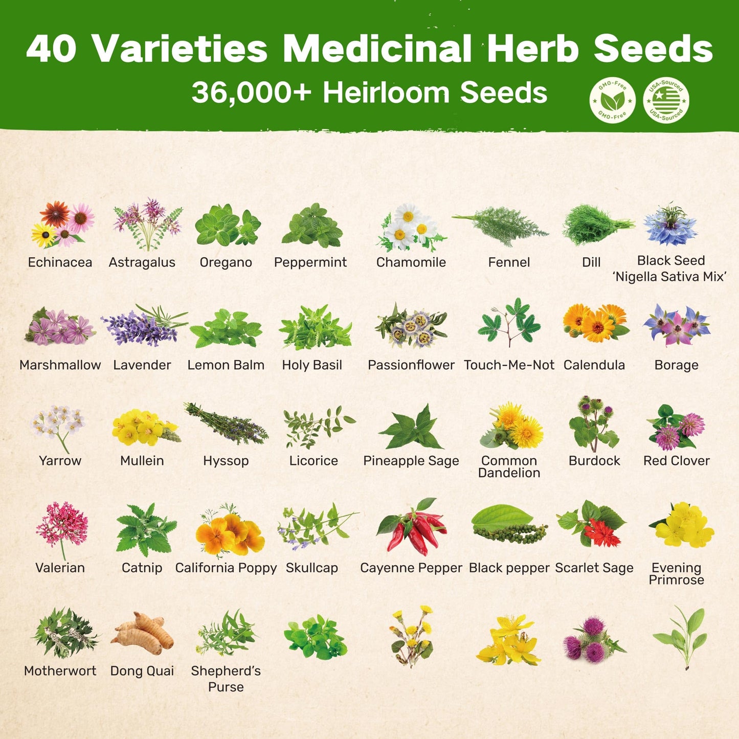 Lush&Dew Ancestral Apothecary Medicinal Tea Herb Seed Chest, 36,000+ Non-GMO Survival Seed Kit, Gardening Gifts for Women Men, 40 Types Heirloom Garden Seeds for Planting Herbs, Raised Bed Windowsill