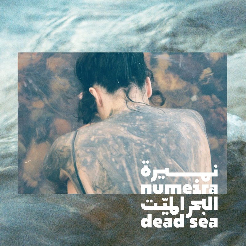 Numeira Dead Sea Mud Mask for Face & Body with Trace Minerals - Harvested from Jordan - Pore Reducer Mud Mask for Acne Skin - Gentle Dead Skin Remover for Face - Hydrating Facial Mask