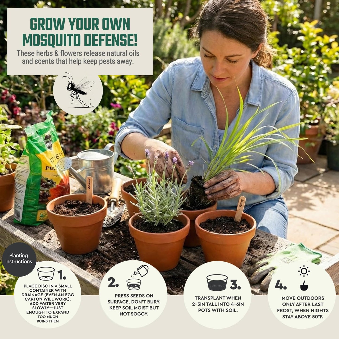 Tactiko Garden Aromatic Herb Seed Kit for Mosquito Season – 6 Individual Seed Packets for Patio & Deck - Lavender, Lemongrass, Marigold, Catnip, Lemon Balm. Basil – Starter Kit with 6 Coir Soil Discs