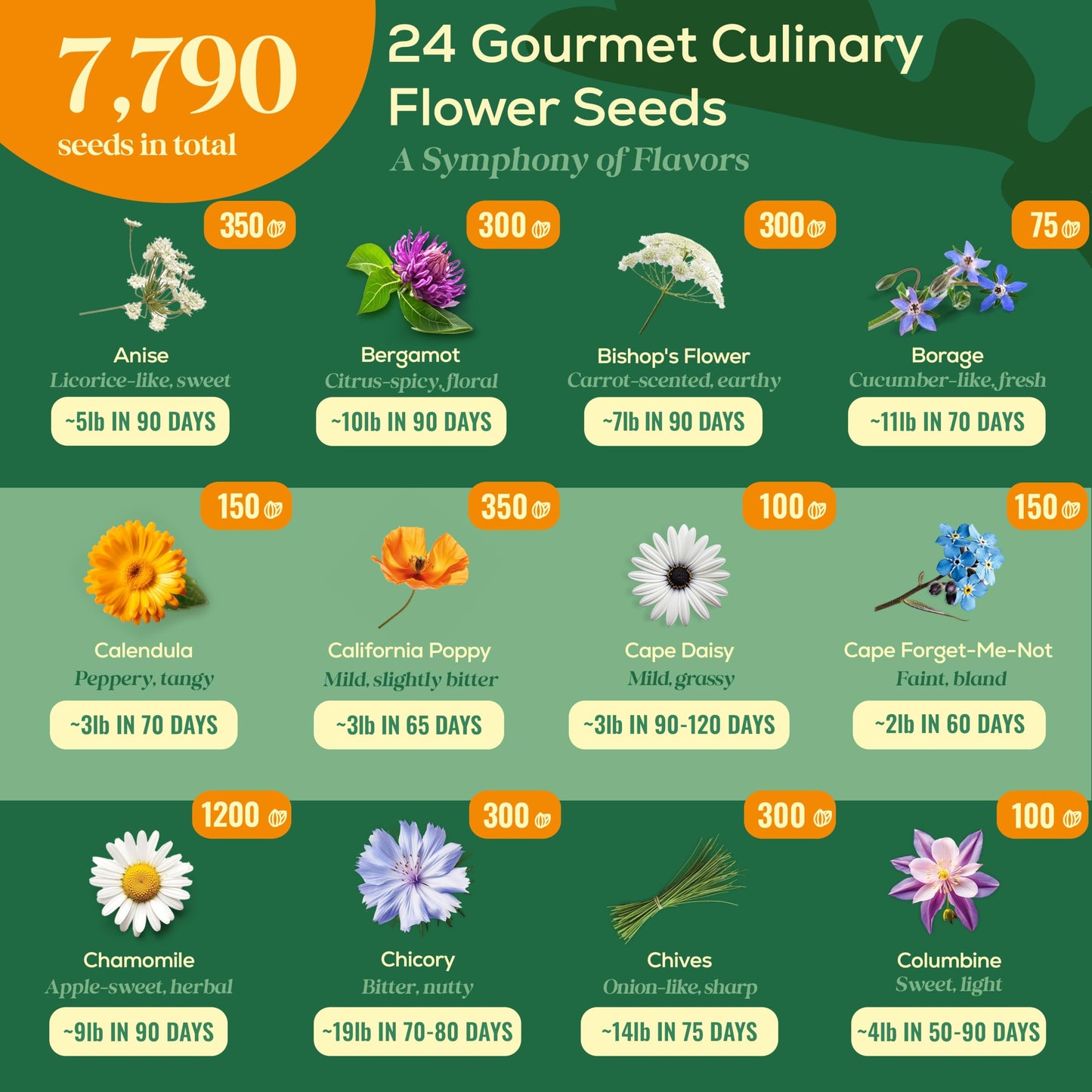 Seedphony 24 Gourmet Culinary Flower Seeds Variety Pack - 7,790+ Non-GMO Heirloom Flower Seeds for Planting Indoor & Outdoor Home Garden - Culinary Flowers Seed Packets for Planting Edible Flowers