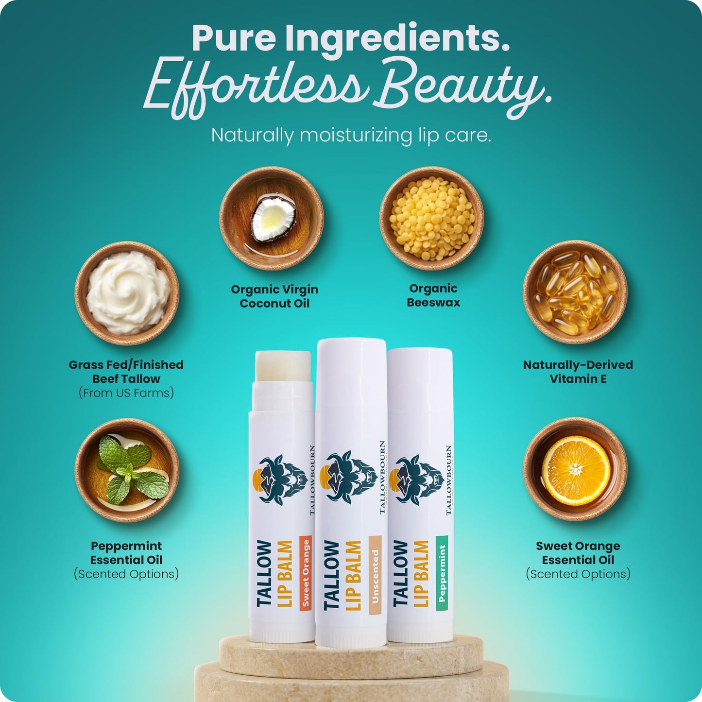 Tallowbourn Moisturizing Tallow Lip Balm – Grass-Fed Beef Tallow with Organic Coconut Oil, Beeswax, and Vitamin E – Lip Balm Set – Variety Pack – Travel Essential – 3-Pack