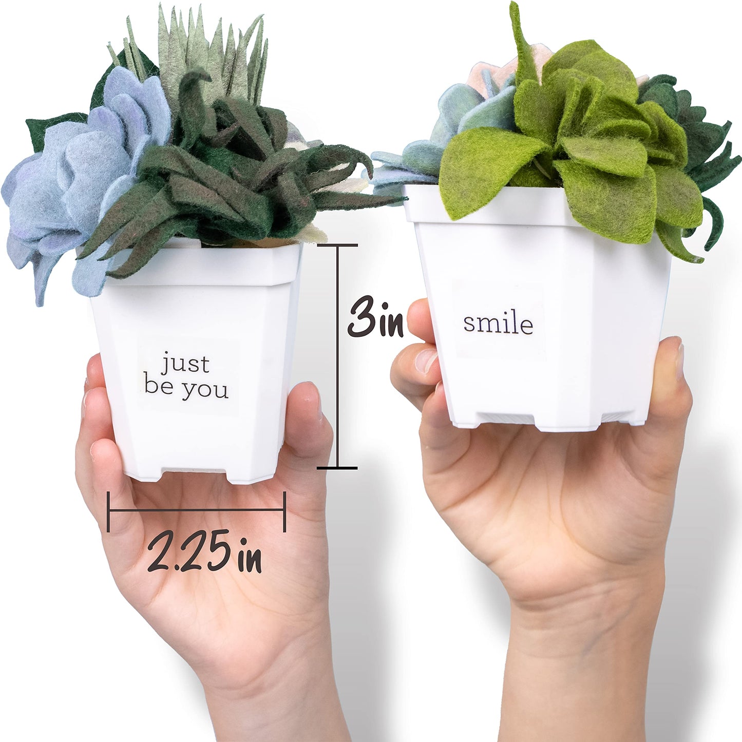 Hapinest DIY Potted Felt Succulents Craft Kit for Adults Women Teens and Seniors, Arts & Crafts for Ages 6 Years and Up