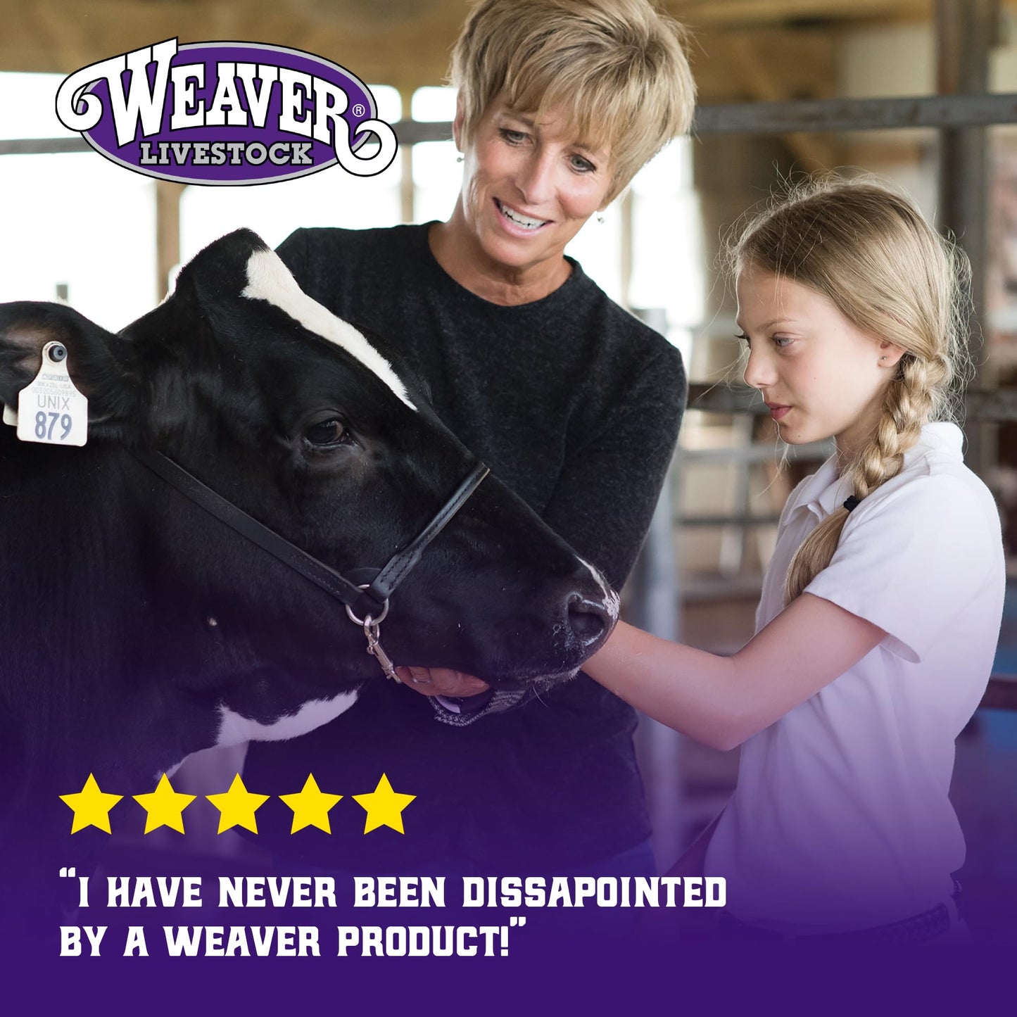 Weaver Livestock Steel Goat Trimming Stand with Wire Form Headpiece, Heavy Duty Adjustable Farm Stand, Foldable Gear for Cow, Goat, and More, Black