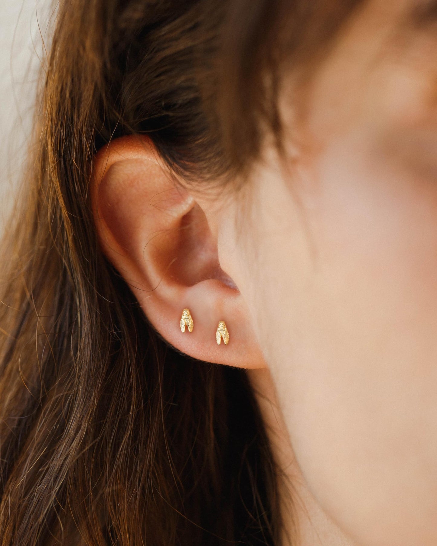 Plenky Gold Earrings for Women - 2 Pairs 14K Gold Plated Small Cicada Stud Earrings Set Insect Summer Beachy Jewelry for Women Gifts