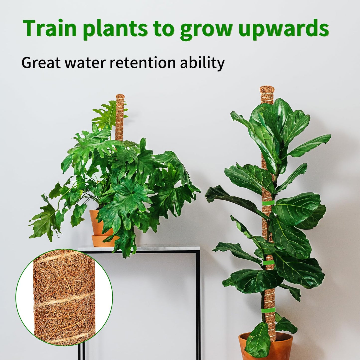 Dimpoo 2 Pack 48 Inch Moss Pole Monstera Plant Support, Coir Moss Poles for Climbing Indoor Plants, Bendable Plant Stake Trellis for Potted Plant, Pothos, Philodendron