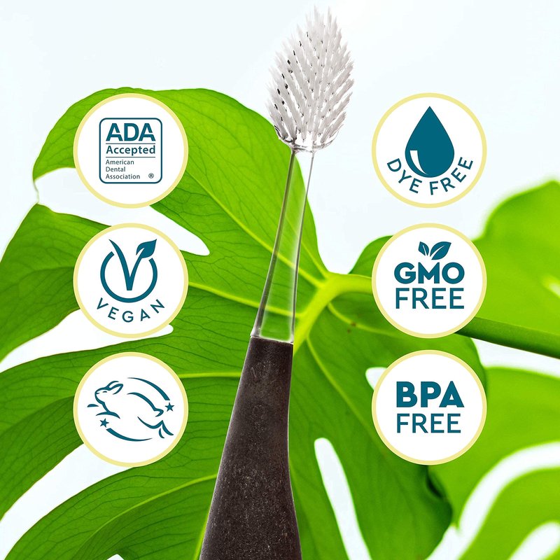RADIUS Toothbrush Source Floss Brush BPA Free & ADA Accepted Improve Gum Health & Reduce Gum Issues - Super Soft - Cornstarch/Hemp/Money - Pack of 3