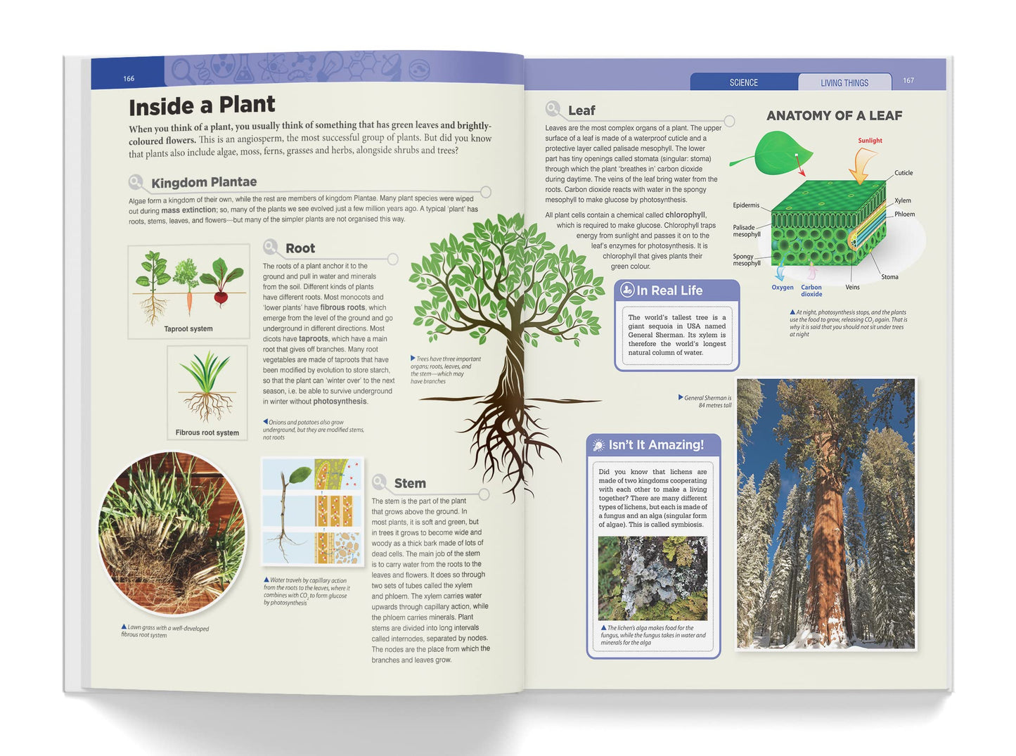 Knowledge Encyclopedia: Science (Knowledge Encyclopedia For Children)