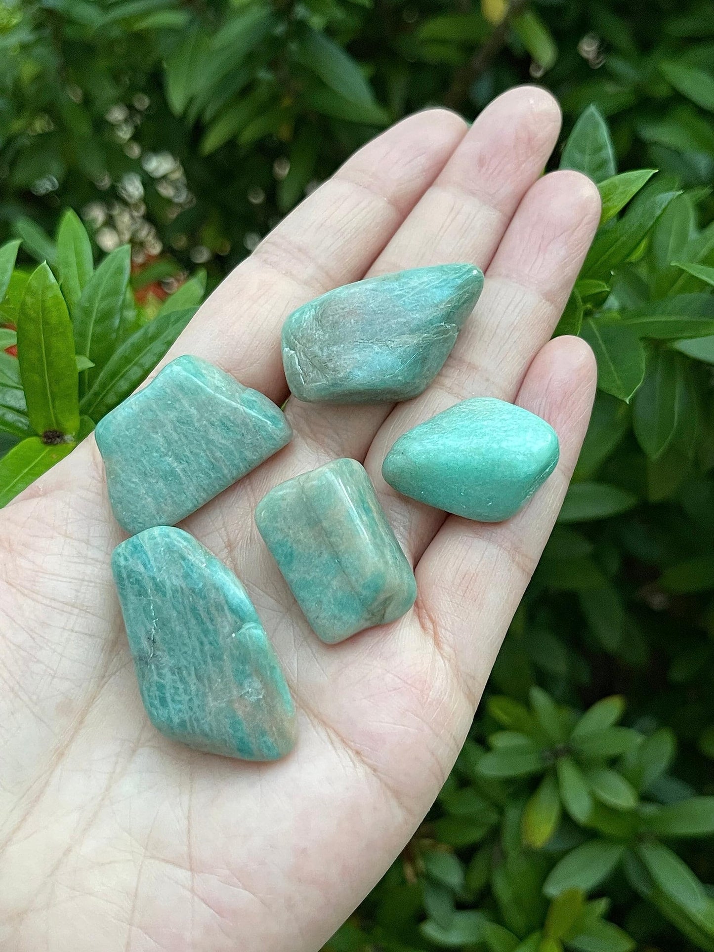 WHOLESALE Amazonite Tumbled Stones, Polished Amazonite Gemstone, Amazonite Polished Rocks (Amazonite, 0.25 Pound)