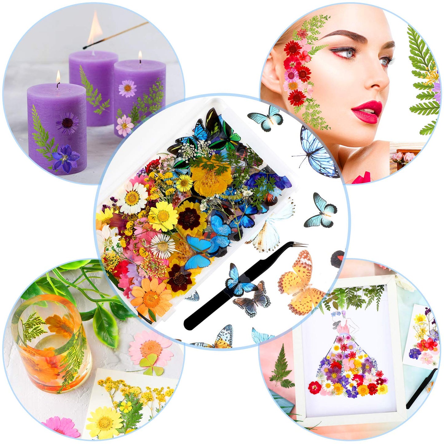 Dried Pressed Flower and Butterfly Transparent Sticker Set, Natural Real Dried Flower Butterfly Scrapbook Decal with Box and Curved Tweezers for DIY Decoration Resin Making (Bright Series)