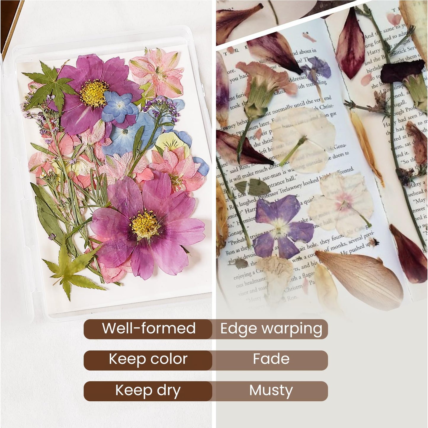 Aboofx 4PCS Dried Flower Storage Set with Blotting Paper, Ziplock Bag and Desiccant, Flower Preservation Kit - Good Seal, High Capacity to Keep Flowers Color and Dry (6.3 x 4.3 inch)