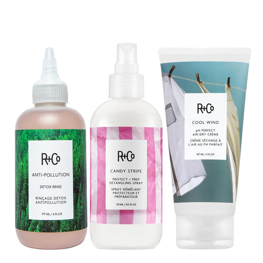 R+Co Anti-Pollution Detox Rinse | Removes Harsh Metals, Nourishes & Smooths Hair | Vegan + Cruelty-Free | 6 Oz