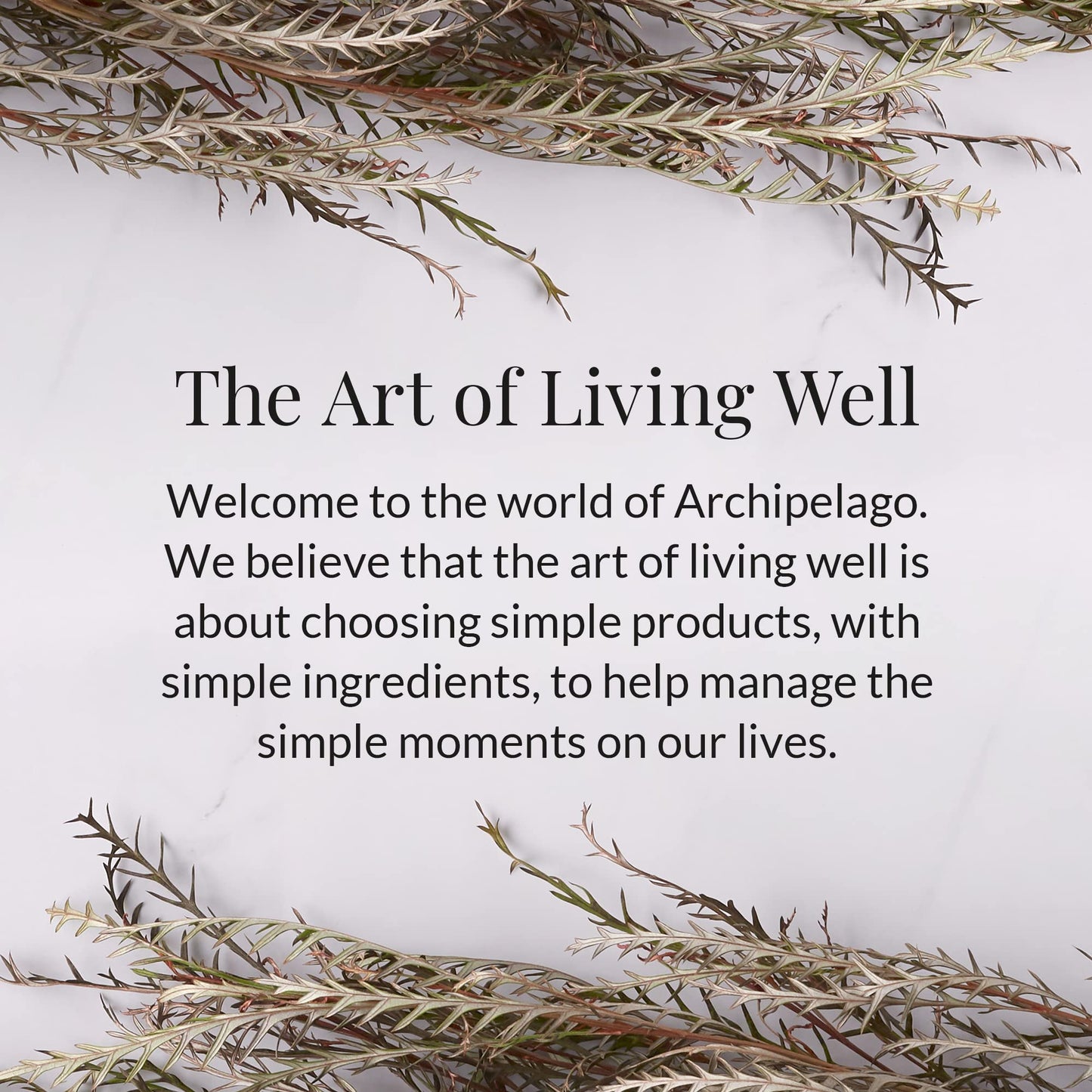 Archipelago Botanicals Luna Glass Jar Candle, Lemon Verbena, Lavender and Thyme Scent, Lead-Free Candle Wicks, Burns Approx. 60 Hours (8.6 oz) (Pack of 2)