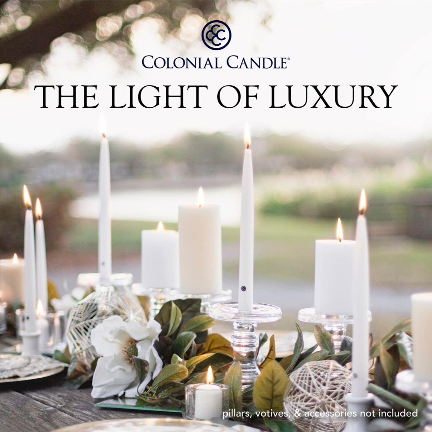 Colonial Candle Unscented Taper Candle, Classic Collection, Evergreen, 12 in, Pack of 12 - Up to 10 Hours Burn